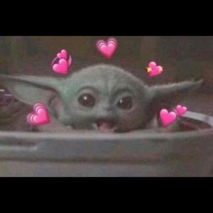 Meet your Posher, Jacky